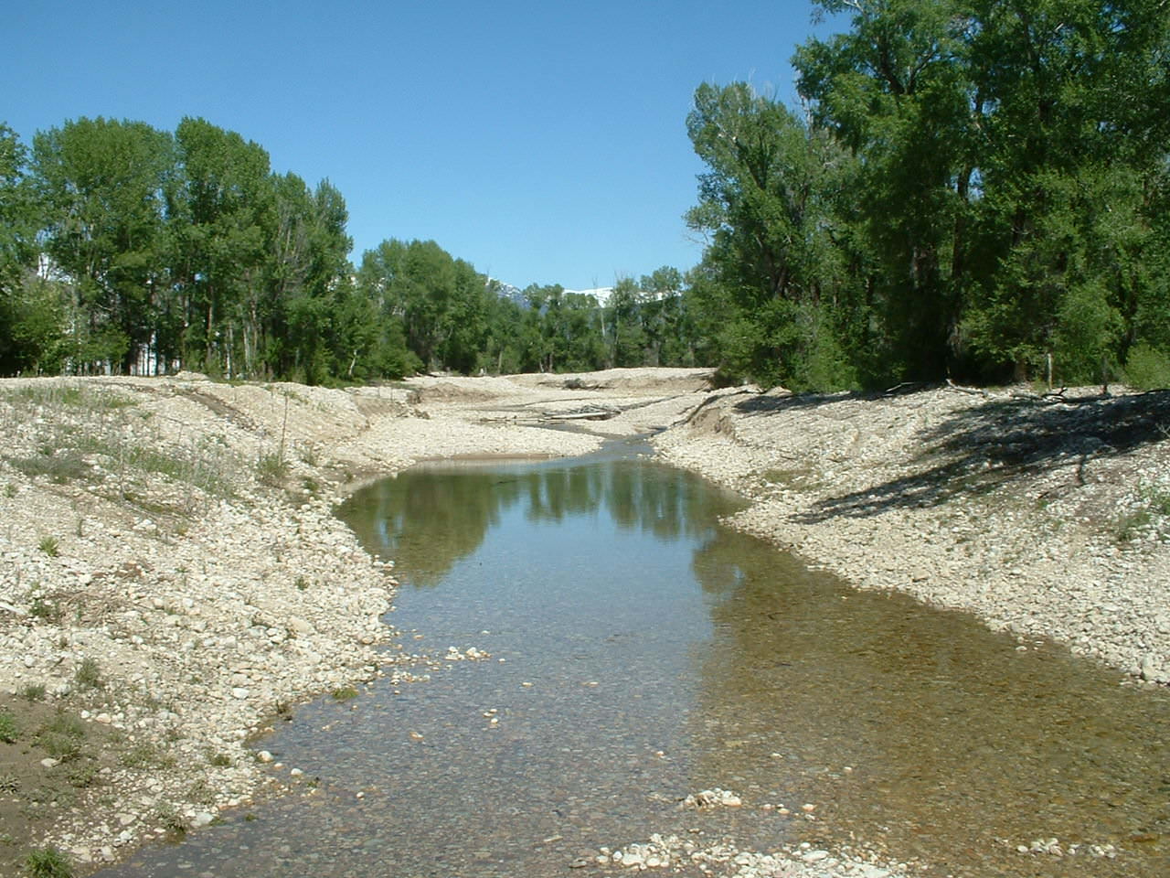 Waters to Watch – Western Native Trout
