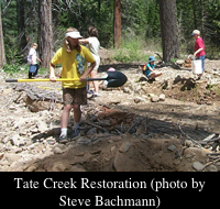 Tate Creek Restoration project