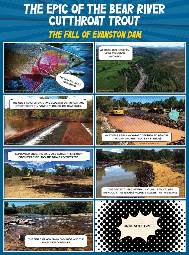 Image of 8 cartoons compiled together about the Evanston Dam removal.