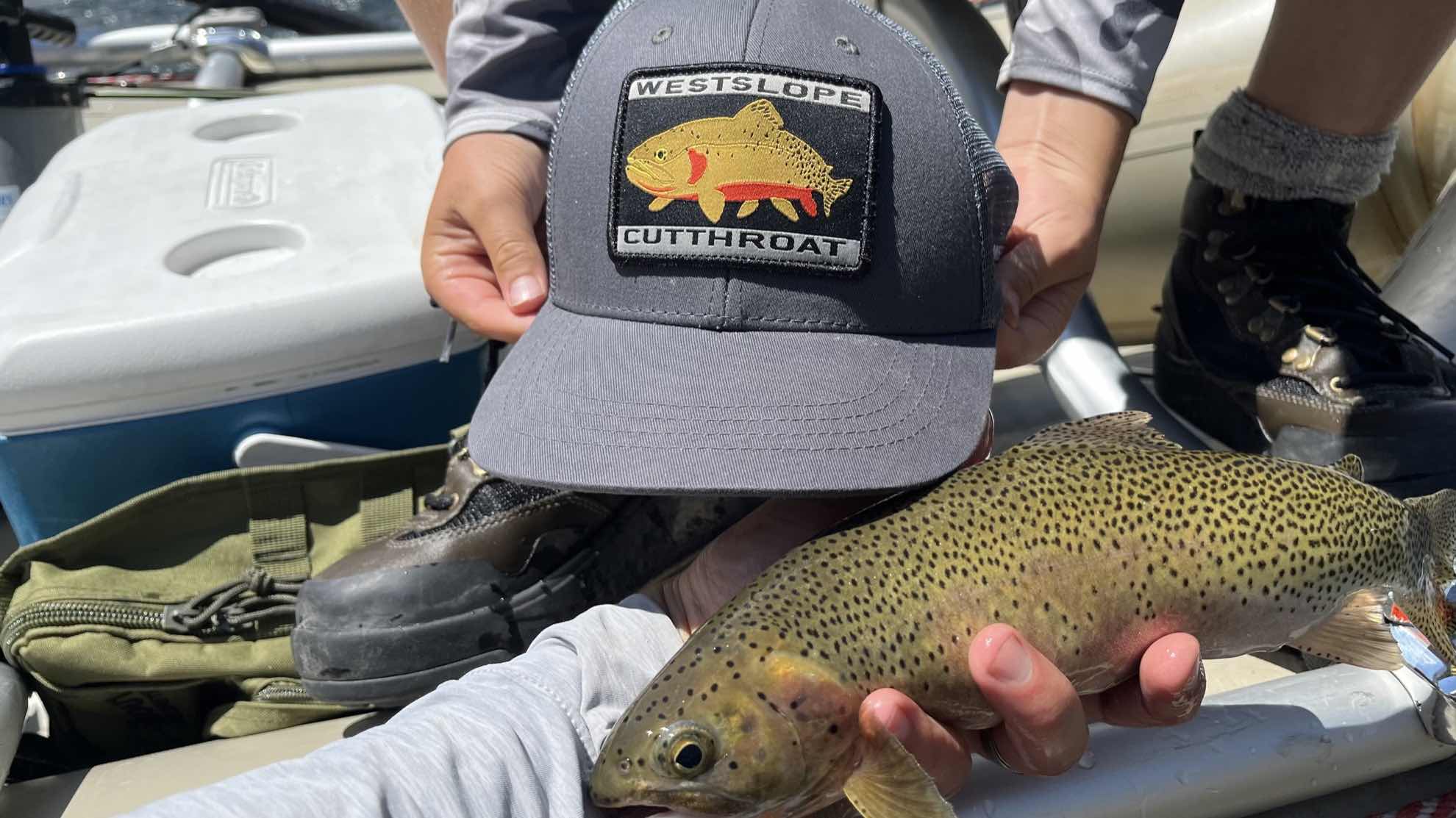 Westslope Cutthroat Trout – Western Native Trout Initiative